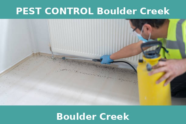 PEST CONTROL Boulder Creek